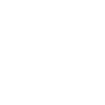 Lungs.