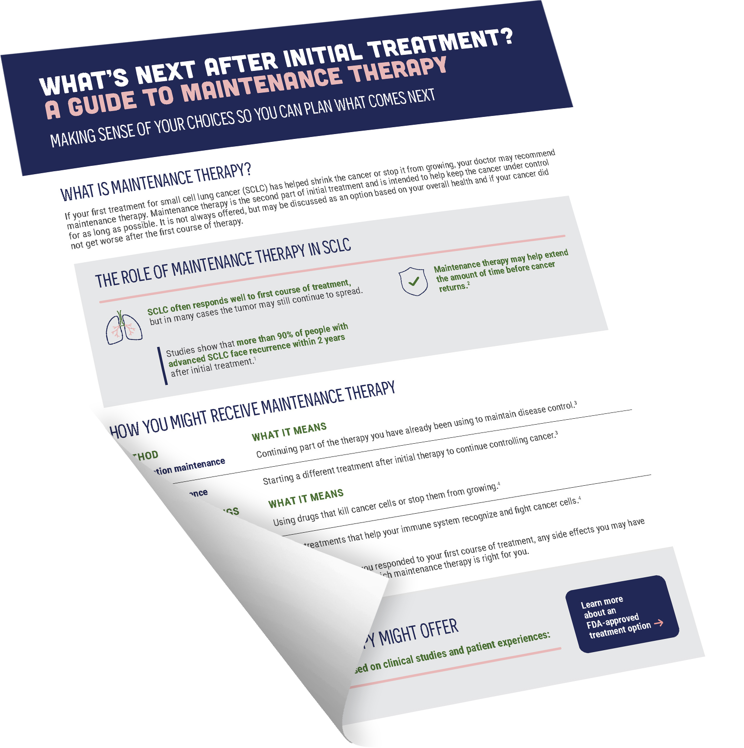 Maintenance Therapy Guide downloadable pdf icon.