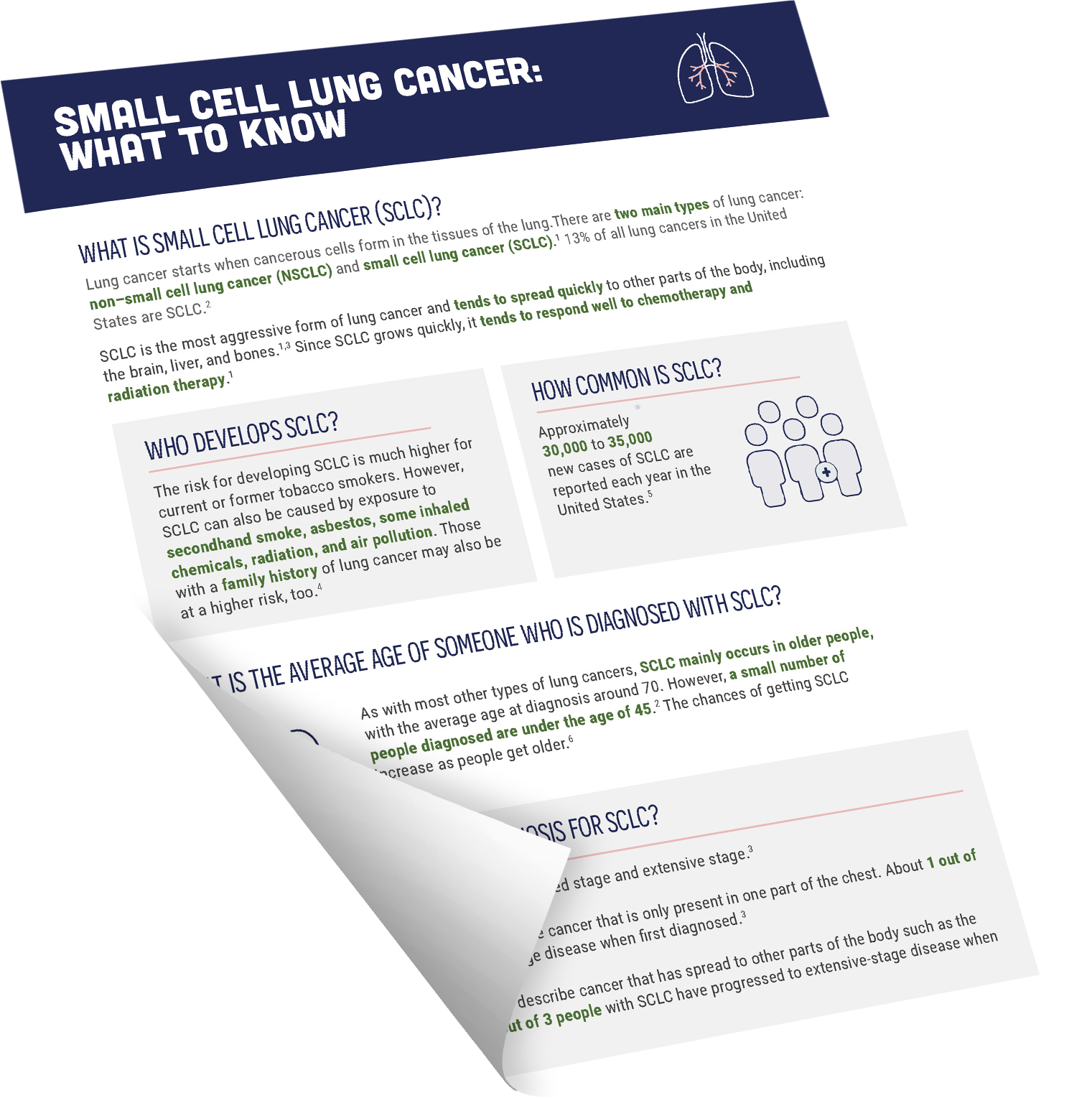 Small Cell Lung Cancer: What to Know downloadable pdf icon.
